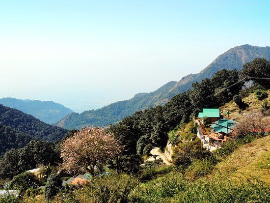 Pangot and Kilbury Bird Sanctuary